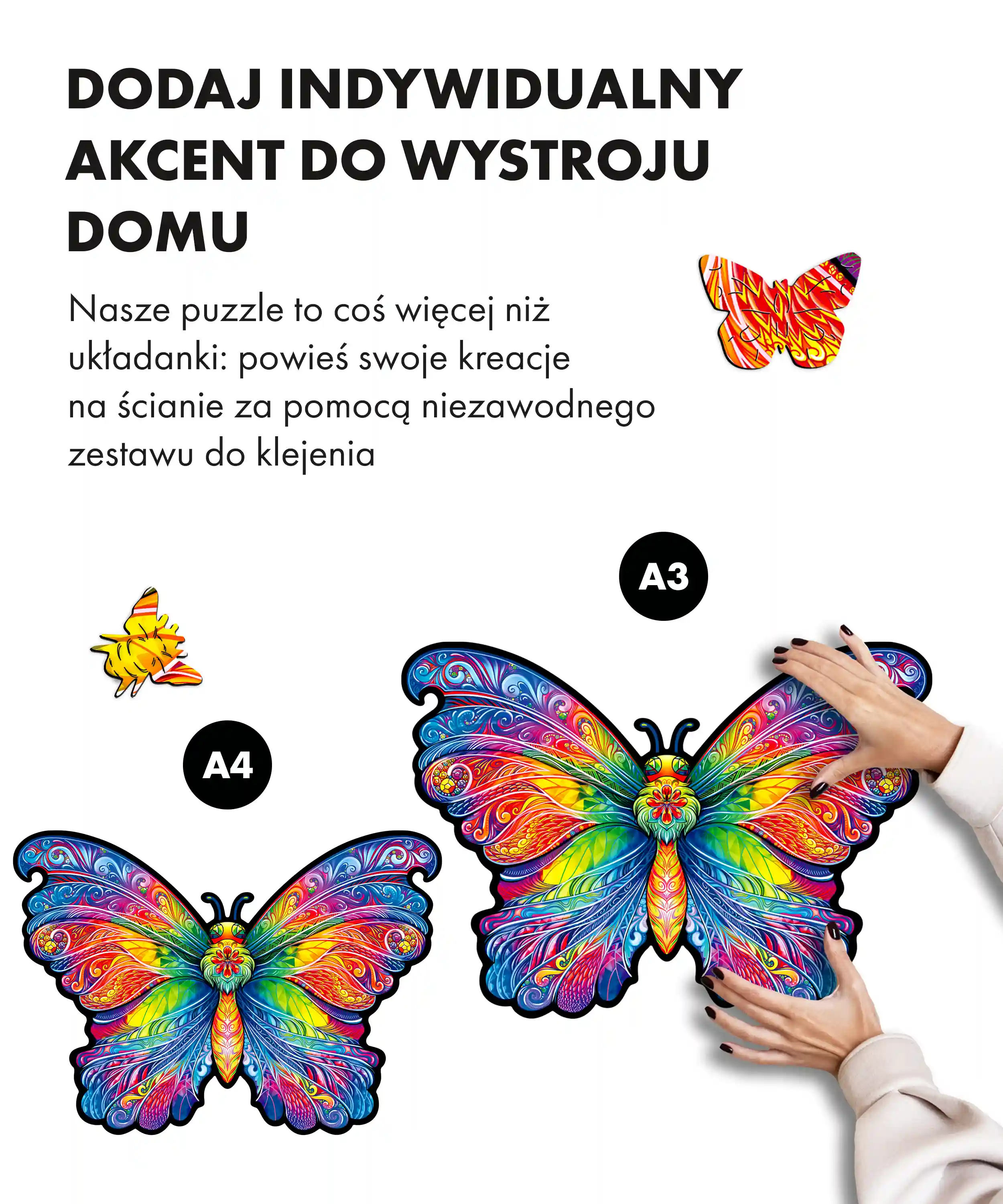 Tęczowy motyl