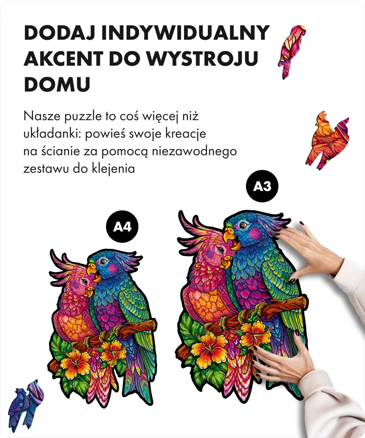 Papugi miłości