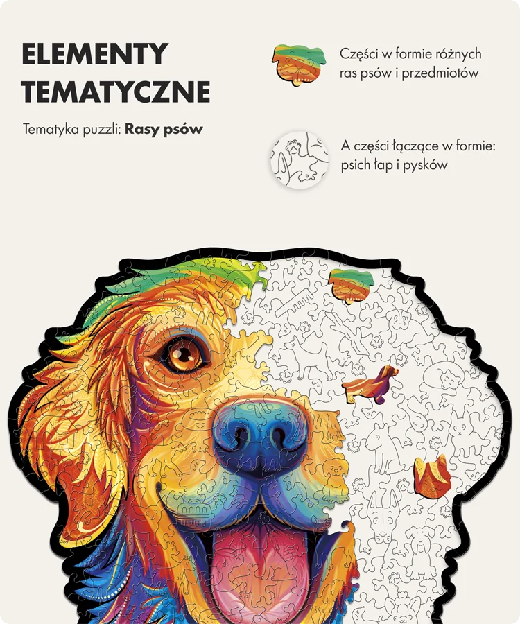 Szczęśliwy retriever