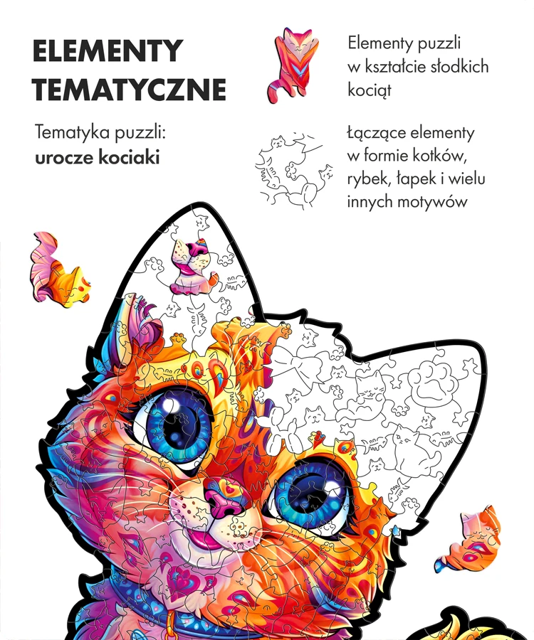 Uroczy kotek